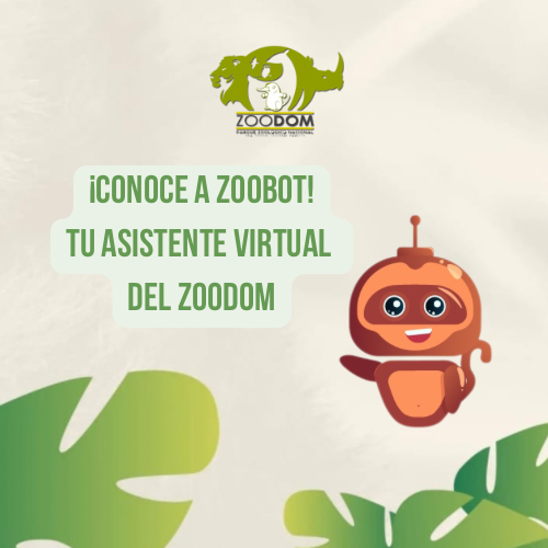 zoodomrd's tweet photo. ¡𝗭𝗼𝗼𝗯𝗼𝘁 𝗮𝗹 𝗵𝗮𝗯𝗹𝗮! (𝗕𝘂𝗲𝗻𝗼… 𝗮𝗹 𝘁𝗲𝘅𝘁𝗼)

Sí, es bien sabido que tenemos WhatsApp: 829.537.8613 🤓
Pero no; no es una persona real la que responde🤖

#Zoobot es nuestro asistente virtual: está diseñado para ayudarte con respuestas automáticas https://t.co/enTCR5IiuH