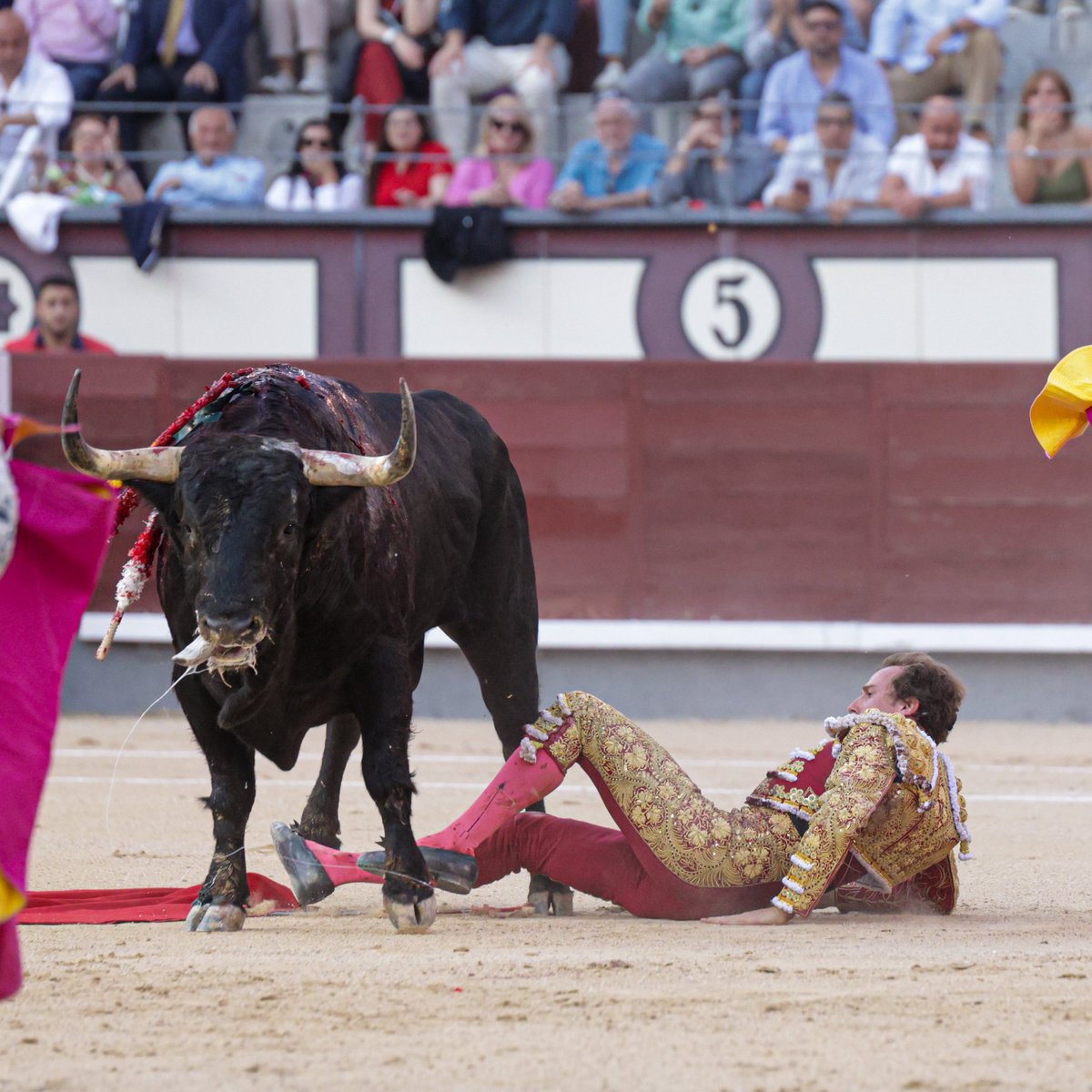 Un rápido resumen de la tarde de Madrid ayer. Disfrutamos como enanos.
1. Esos segundos se hacen eternos 
2. 🔥🔥🔥
3. Esta foto me encanta.
4. Está no.