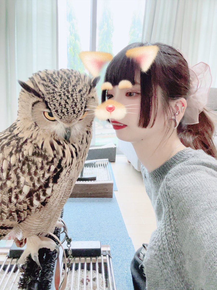 supusupu29's tweet photo. むさし可愛いー♥️ https://t.co/Pmx8VsCKDQ