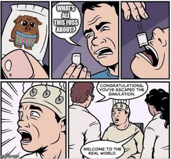 gm everyone. just a reminder to take the $undy pill