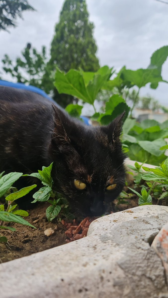 And I get a little bit closer❤️