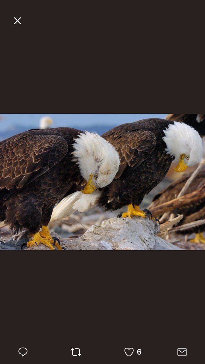 mfabian06's tweet photo. Today is about those that served and have fallen.  Gone but not forgotten!  Have a blessed Memorial Day!! https://t.co/drhwGpMGFF