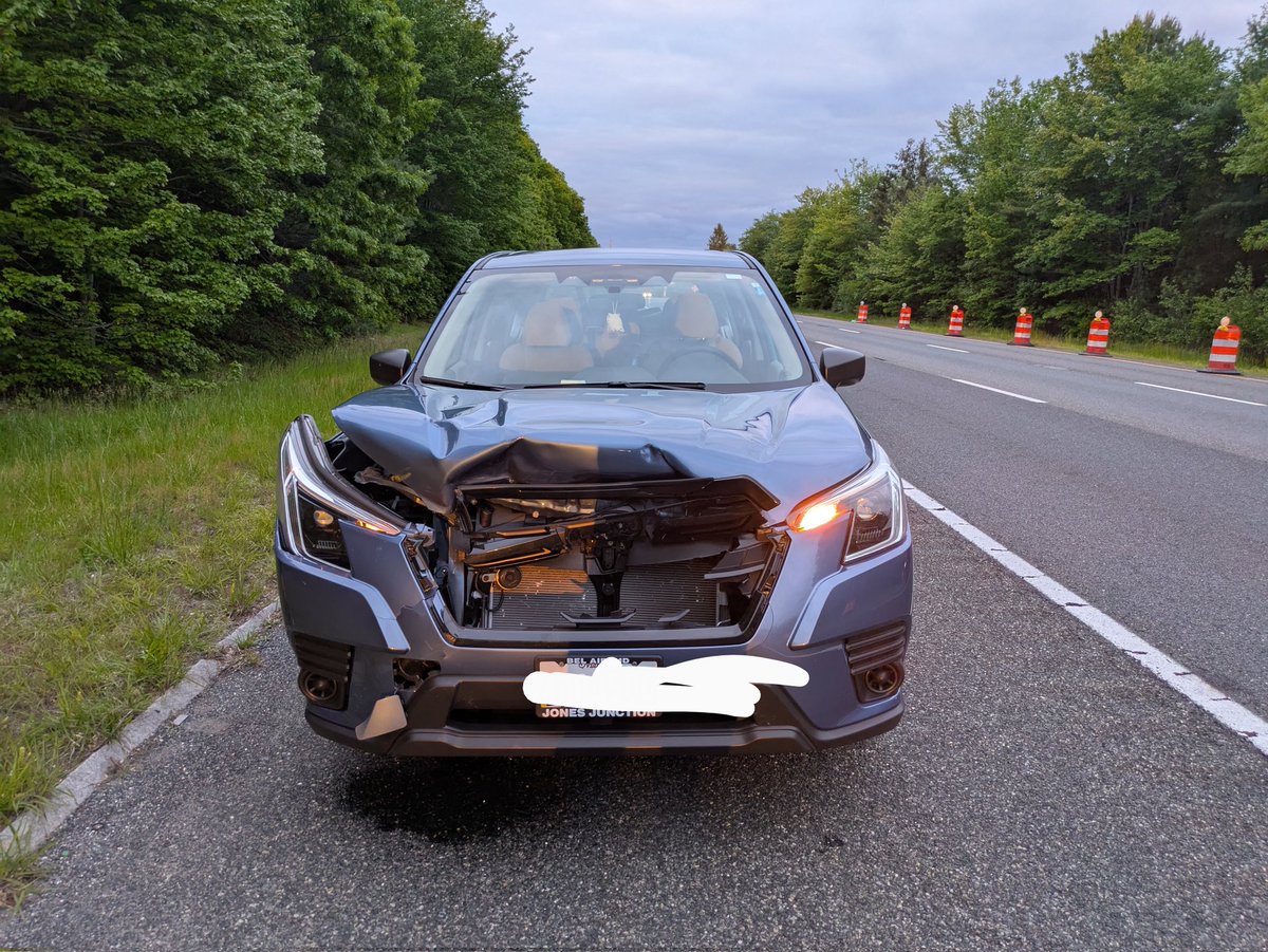 ReZeroIsBetter's tweet image. Re:Zero is a lot better than hitting a deer 20 minutes into driving home from anime Boston (I'm ok just sad) (we had 6 hours to drive still)