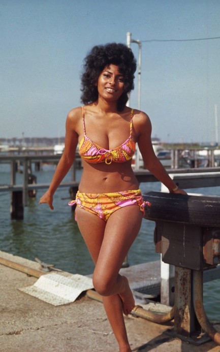 karenshane63's tweet image. #Botd #PamGrier