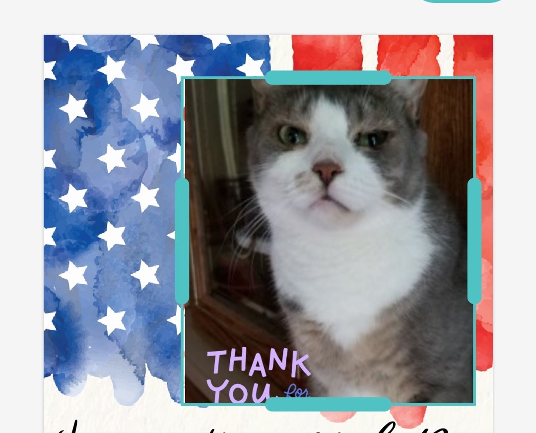 MelbyLynne's tweet photo. Honoring the brave today with a quiet moment of gratitude. BoogerRoux sends purrs of remembrance for all who served and sacrificed.
We remember. We thank you. ๐บ๐ธ
#MemorialDay
#RememberAndHonor
#FallenButNotForgotten
#BoogerRouxRemembers
#HonorTheirSacrifice https://t.co/Ui9sBpMQQY