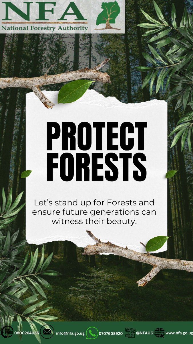 NFAUG's tweet photo. Let’s protect our forests for future generations!
Forests fight climate change, support wildlife, and provide clean air and water. Choose sustainable products, reduce consumption, and support reforestation. Every action counts! #SaveForests #ClimateAction #ForestsforGenerations https://t.co/N5Vu5k6v8o