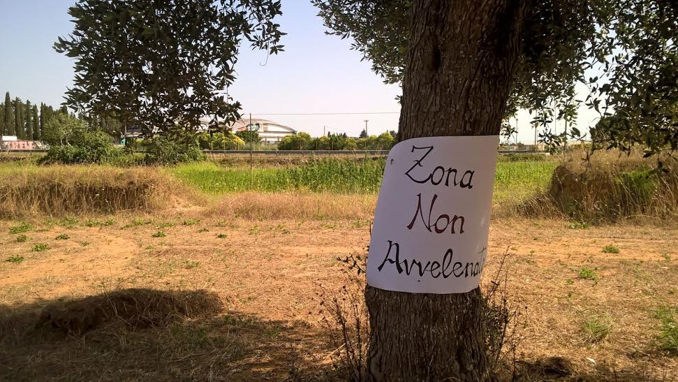 <a href="/WWF_Roma/">WWF Roma</a> partecipa alla Carovana dell’Agroecologia con il convegno “Agroecologia,una sfida per la sostenibilità”SABATO 31 MAGGIO dalle ore 10.00 presso la Sala Basaglia in Piazza Santa Maria della Pietà <a href="/Roma/">Roma</a>,con il supporto del Municipio XIV #SaveTheDate
wwfroma.it/aggiornamenti-…