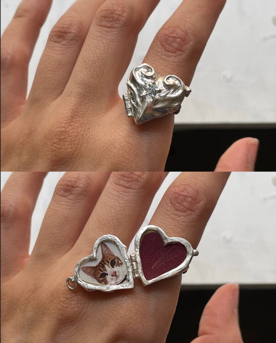 catsareblessing's tweet image. 💍