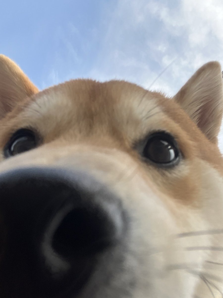 蓝V互关，永不取关

不像有的人搞什么假抽奖，点赞转发这条推文，每人送一斤火星土壤，玩的就是真实

（仅限自提）