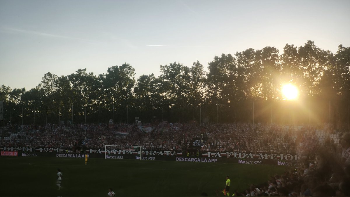 Alfaro 11%🇪🇺 tweet media