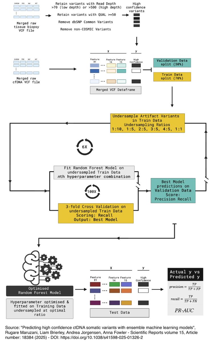 #Oncology #AI: researchers have designed ensemble machine learning models to accurately detect somatic variants associated with cancer from circulating cell free DNA data. The models could help develop personalized treatment strategies for cancer patients nature.com/articles/s4159…