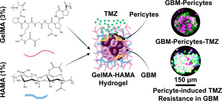 Science Advancement and Outreach tweet media