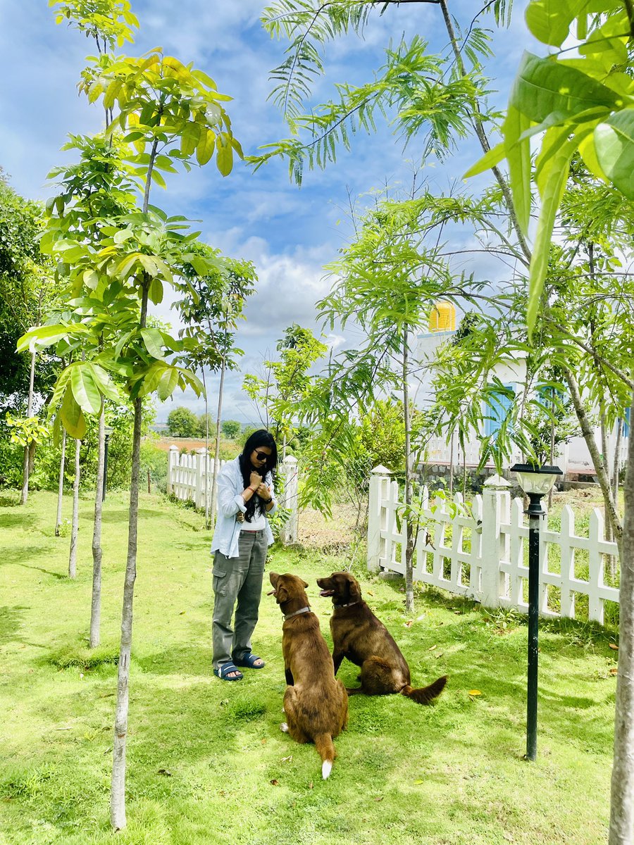 While folks pack for Shopify Editions…
I’m pitching my Q3 roadmap to two Labradors  (the judgemental one) 

Honestly, toughest investors I’ve met 🐶📈

#shopify #VC=VeryCute
