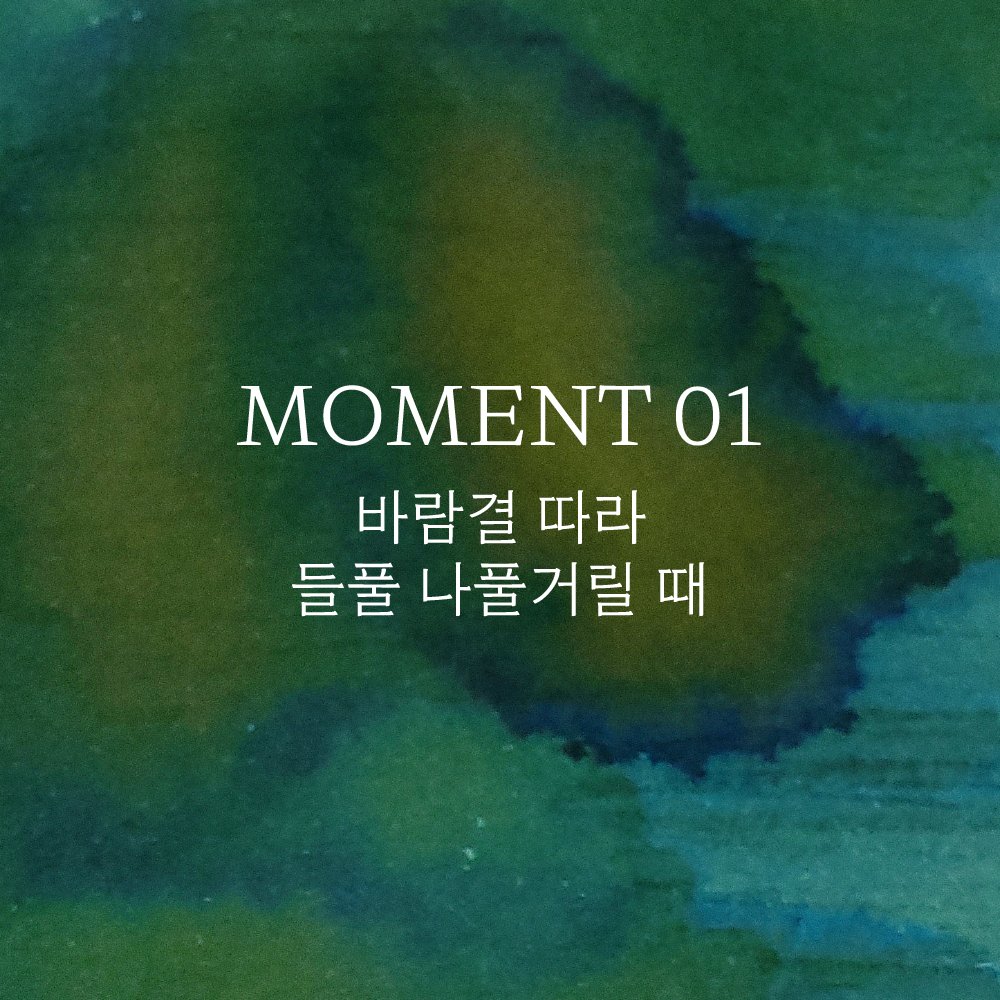 napulstore's tweet photo. 🩵 Napul Store × TONO&amp;LIMS

MOMENTシリーズで長く記憶したい瞬間をインクで込めました。

🌿 MOMENT 01 風にそって野草がひらつく時
❄️ MOMENT 02 窓ガラス向こうへ霜の花満開の時 https://t.co/bAbeyy8xQ1