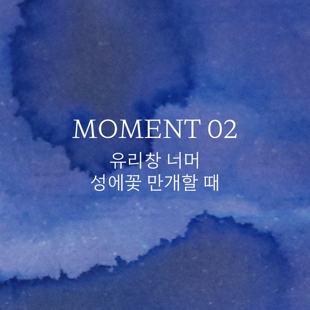 napulstore's tweet photo. 🩵 Napul Store × TONO&amp;LIMS

MOMENTシリーズで長く記憶したい瞬間をインクで込めました。

🌿 MOMENT 01 風にそって野草がひらつく時
❄️ MOMENT 02 窓ガラス向こうへ霜の花満開の時 https://t.co/bAbeyy8xQ1