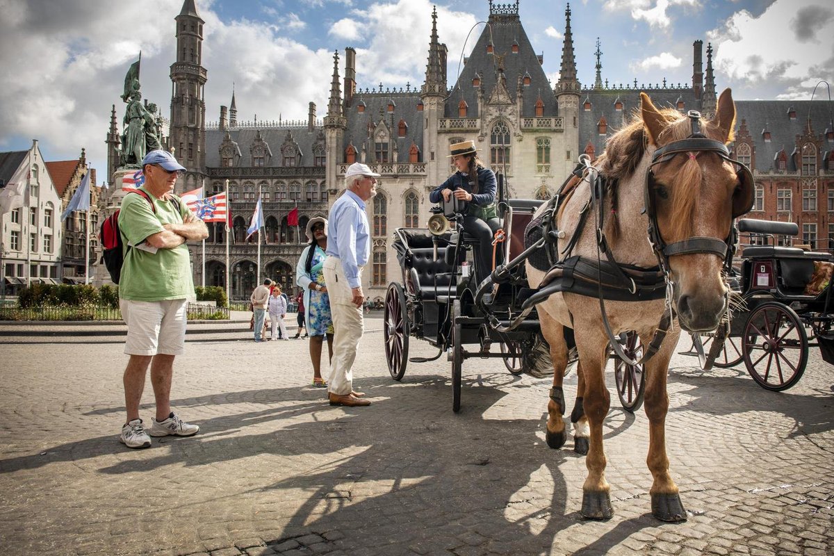 CagesFree's tweet image. Een paard hoort niet te puffen en te zwoegen om de bankrekening van een clan #koetsiers te spekken
standaard.be/opinies/een-pa…