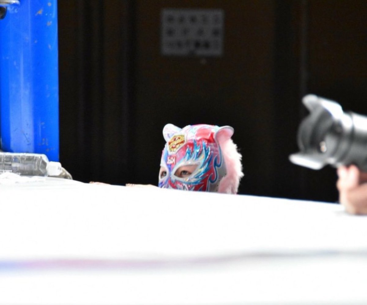 JenJen #SLKRedBelt๐ณ๏ธโโง๏ธ๐ธ tweet media