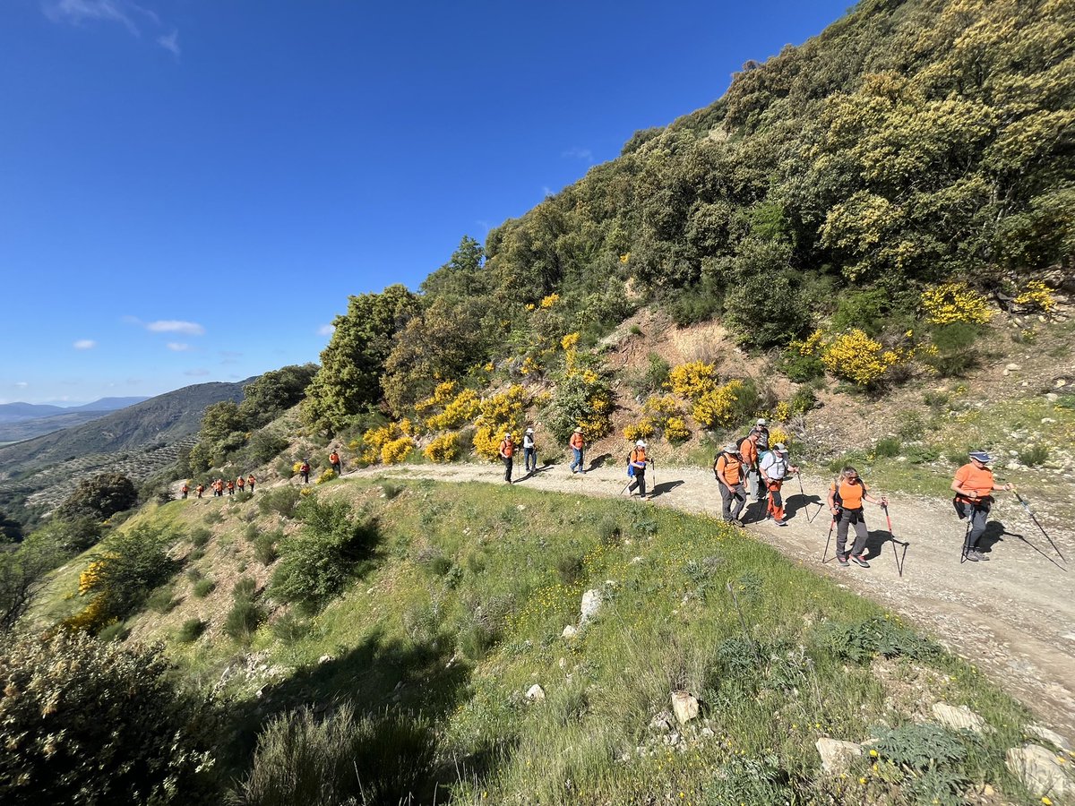 Senasogra's tweet photo. Hemos hecho una ruta de senderismo en Noalejo (Jaén) por la Sierra de Montilla, contactando con la naturaleza y una vistas maravillosas de Sierra Nevada y nos encontramos con muchos buitres por la zona. @dipgra @fedamon @ASOGRA_ https://t.co/RUtOUh4uBO