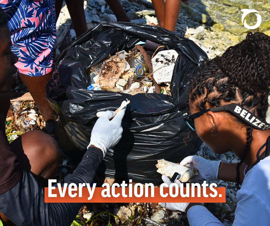 OceanaBelize's tweet photo. 🌊 #MissionMonday 🌊
Every wave begins with a single ripple — and every movement needs passionate advocates. This Monday, we’re reminding you that protecting our sea starts with the choices we make every day.💙
#toloveandprotectbelize #belize #oceanabelize #thrivetogether https://t.co/TYtuLT4BS4