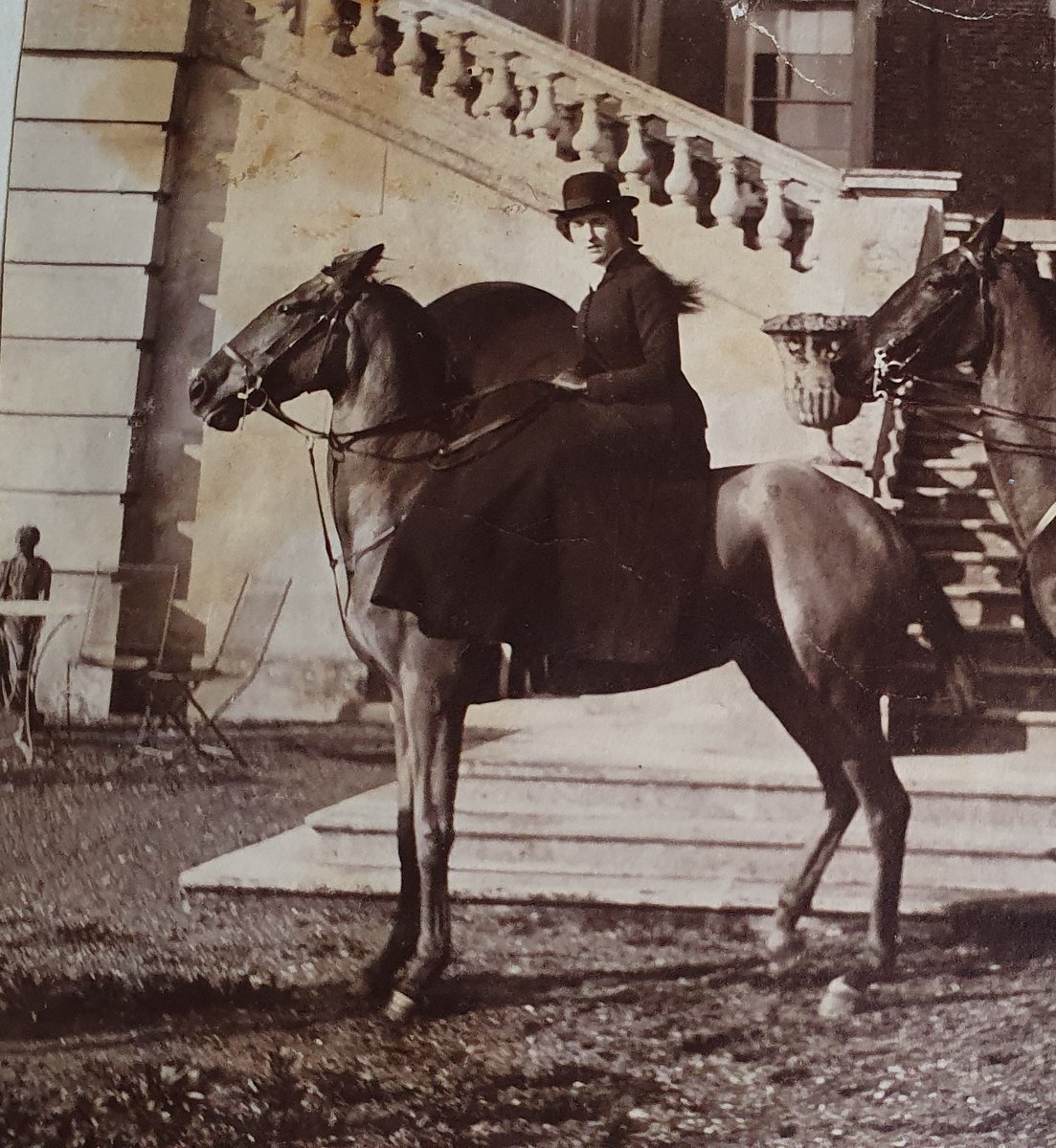 Jane Dismore tweet media