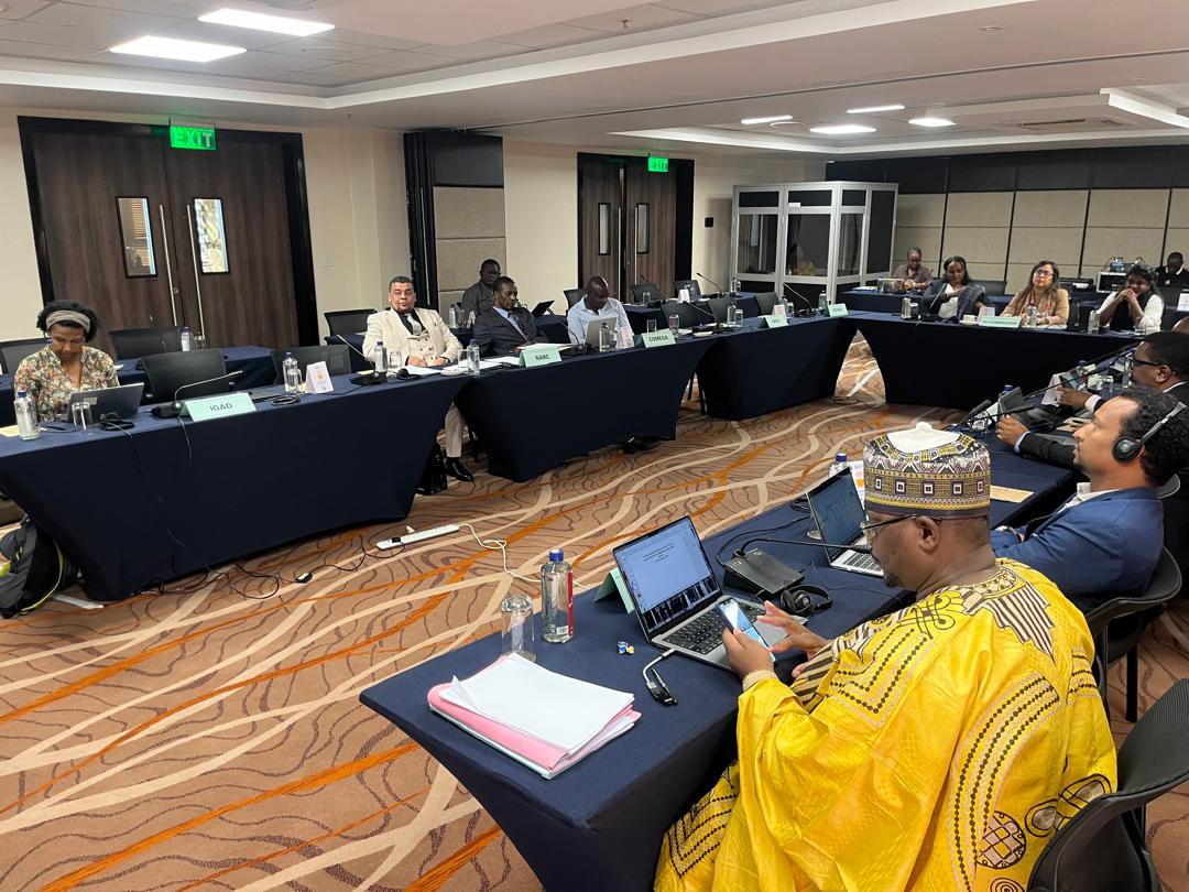 On behalf of Commissioner <a href="/Bankole_Adeoye/">Amb. Bankole Adeoye</a> and Dr. <a href="/SarjohBah3/">Sarjoh Bah</a>, Dr. Salvator Nkeshimana opened the 29th Technical Meeting Between the AU CEWS and the Regional Economic Communities/Regional Mechanisms (RECs/RMs) in East Africa, held from today 26 to 28 May 2025, in Nairobi, Kenya.