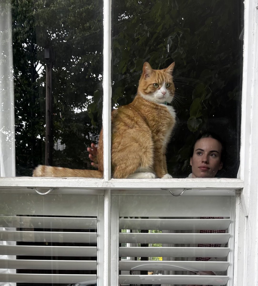 This morning, looking back, as I left the house. Something timeless grabbed me. 

#gingercats #pumpkin #daughters #mothers #thedomestic