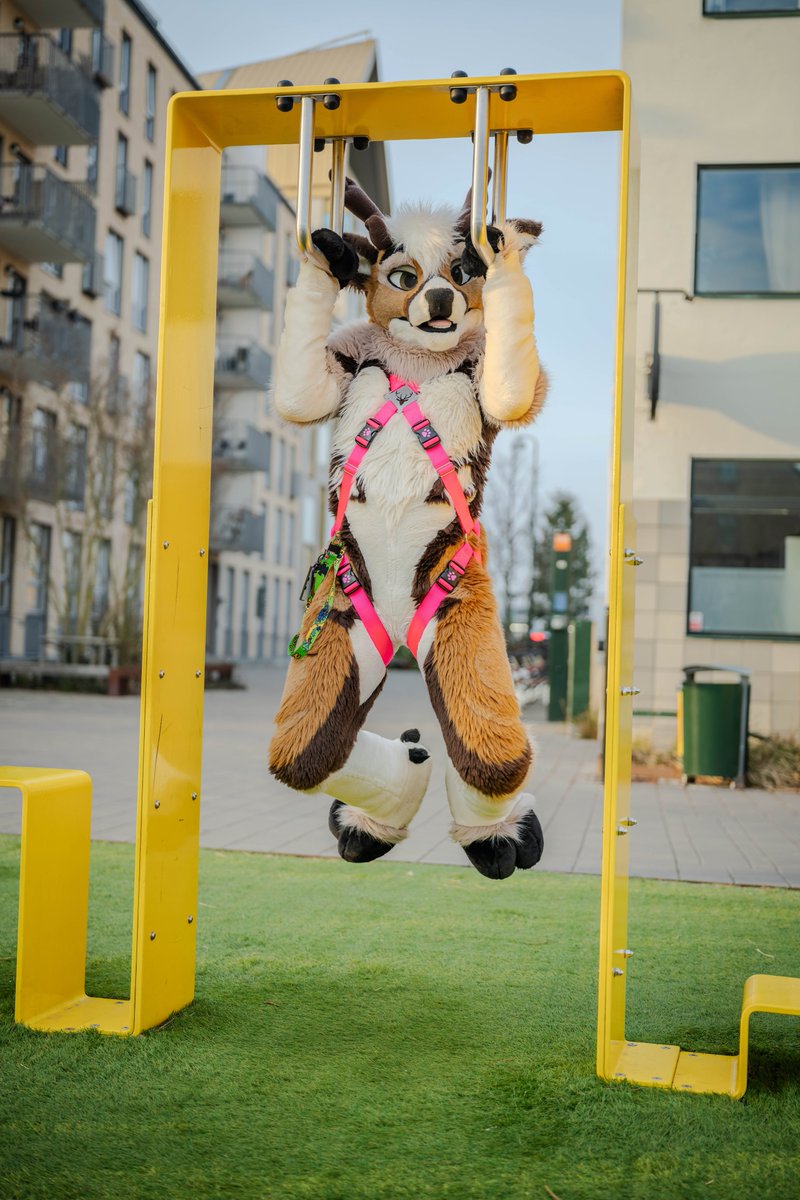 No touchy lawn they said 👀 
#MFYMonday 
📸<a href="/kealianwolf/">kealian 🔜 F M / BFD 17 / MFF</a>