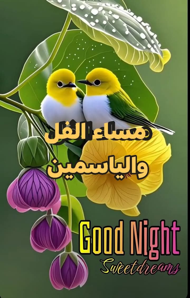 ZEED111963's tweet photo. @gulf5555 كلماتك وسام على صدري كلك ذوق مميز جدا https://t.co/z6T7asB27b