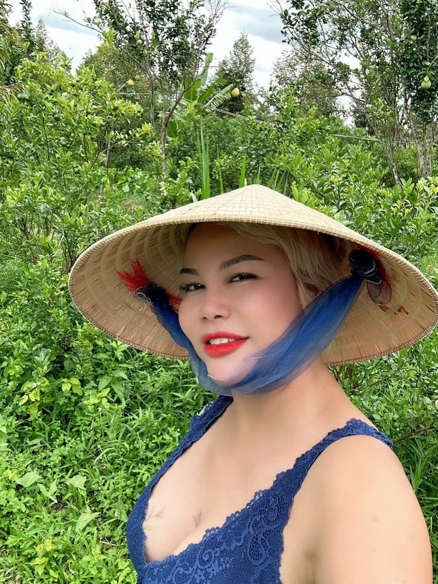 lisa pham tweet media