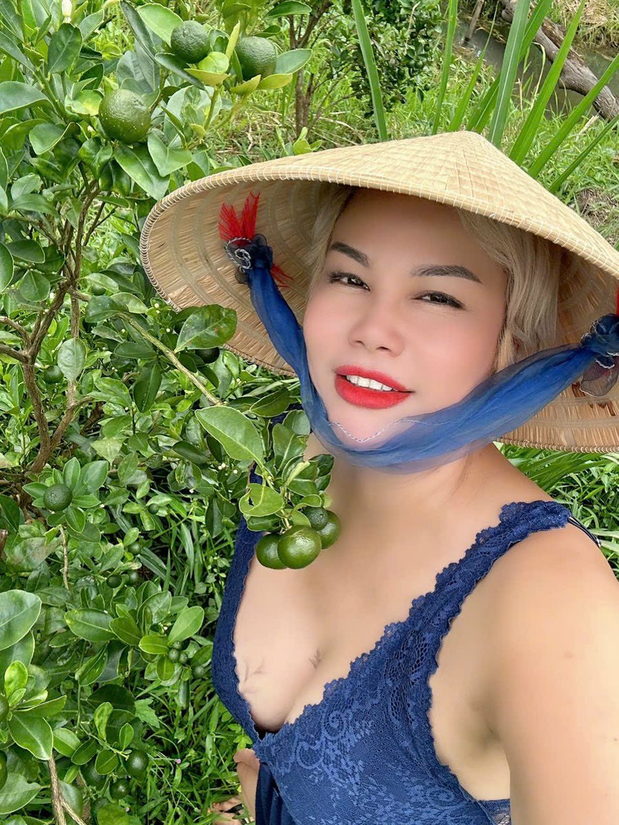 lisa pham tweet media