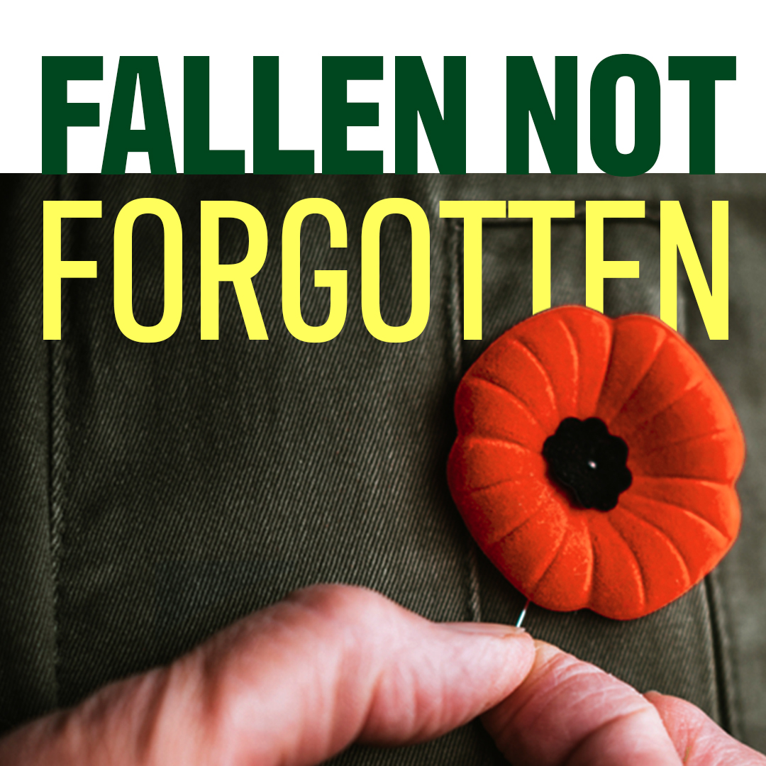 Happy Memorial Day. Today, we remember those who fought for our freedom. Memorial Day is a special opportunity to call attention to the sacrifice so many have made for the greater good of our country.