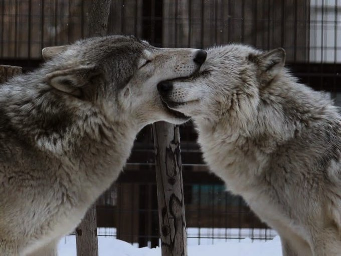 ✞ 🗝️ (@hakaelll) on Twitter photo 