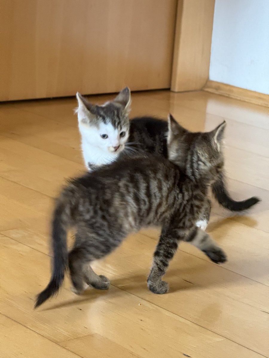 𝐌𝐚𝐫𝐭𝐢𝐧 ⛅️ tweet media