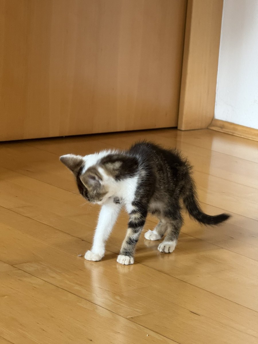 𝐌𝐚𝐫𝐭𝐢𝐧 ⛅️ tweet media