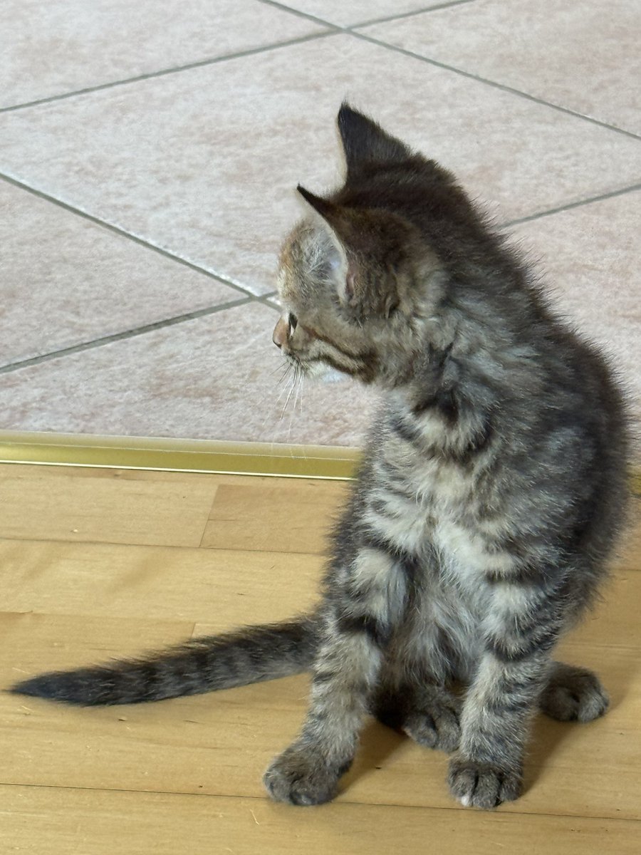 𝐌𝐚𝐫𝐭𝐢𝐧 ⛅️ tweet media