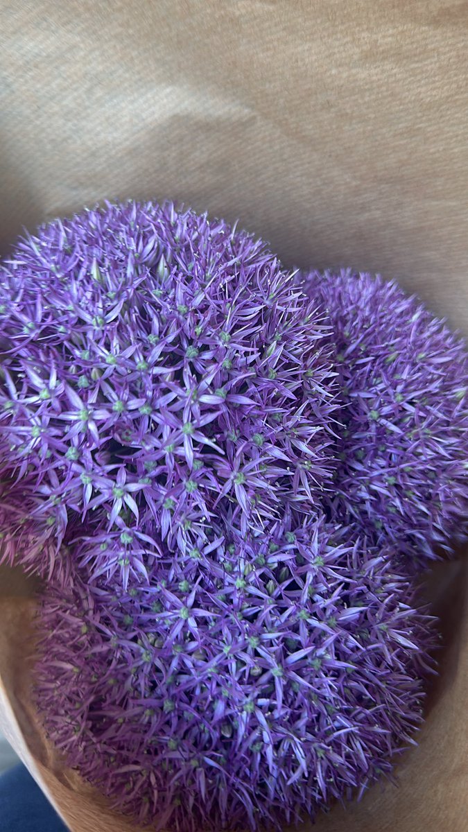 Da schenkte man mir echt Chrysanthemen zum Kaffee 🥹