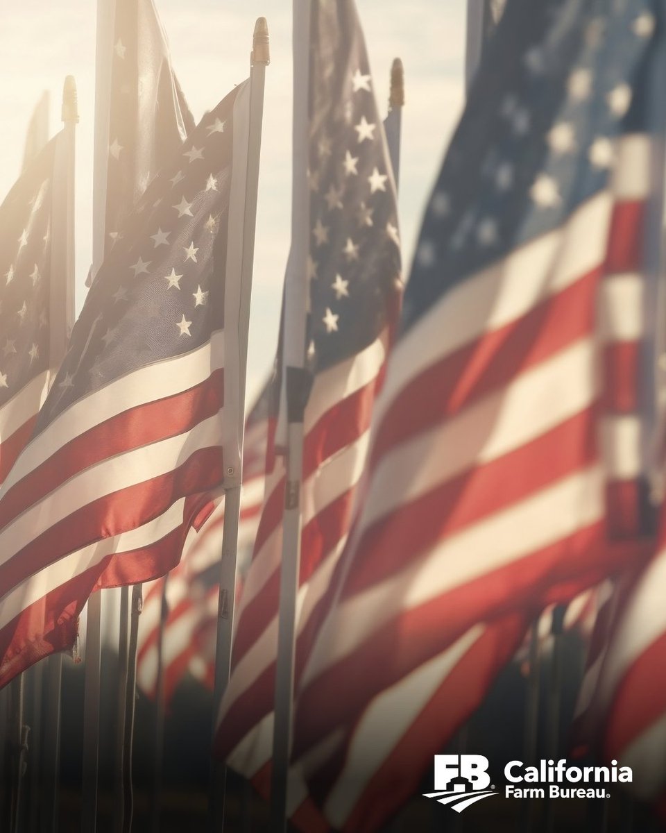 CAFarmBureau's tweet image. Today, we pause to honor and remember the brave men and women who made the ultimate sacrifice for our freedom. Their courage, service, and unwavering dedication have shaped the freedoms we cherish. Let us stand in gratitude and reflect on the legacy they leave behind.
