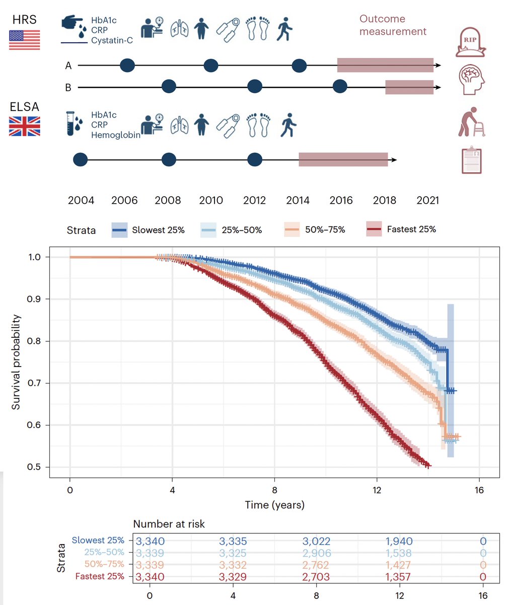 Eric Topol (@erictopol) on Twitter photo New <a href="/NatureAging/">Nature Aging</a>
Our body-wide pace of aging predicts healthspan and lifespan: outcomes of mortality, morbidity, cognitive impairment, and disability in US and UK cohorts
nature.com/articles/s4358… New <a href="/NatureAging/">Nature Aging</a>
Our body-wide pace of aging predicts healthspan and lifespan: outcomes of mortality, morbidity, cognitive impairment, and disability in US and UK cohorts
nature.com/articles/s4358…