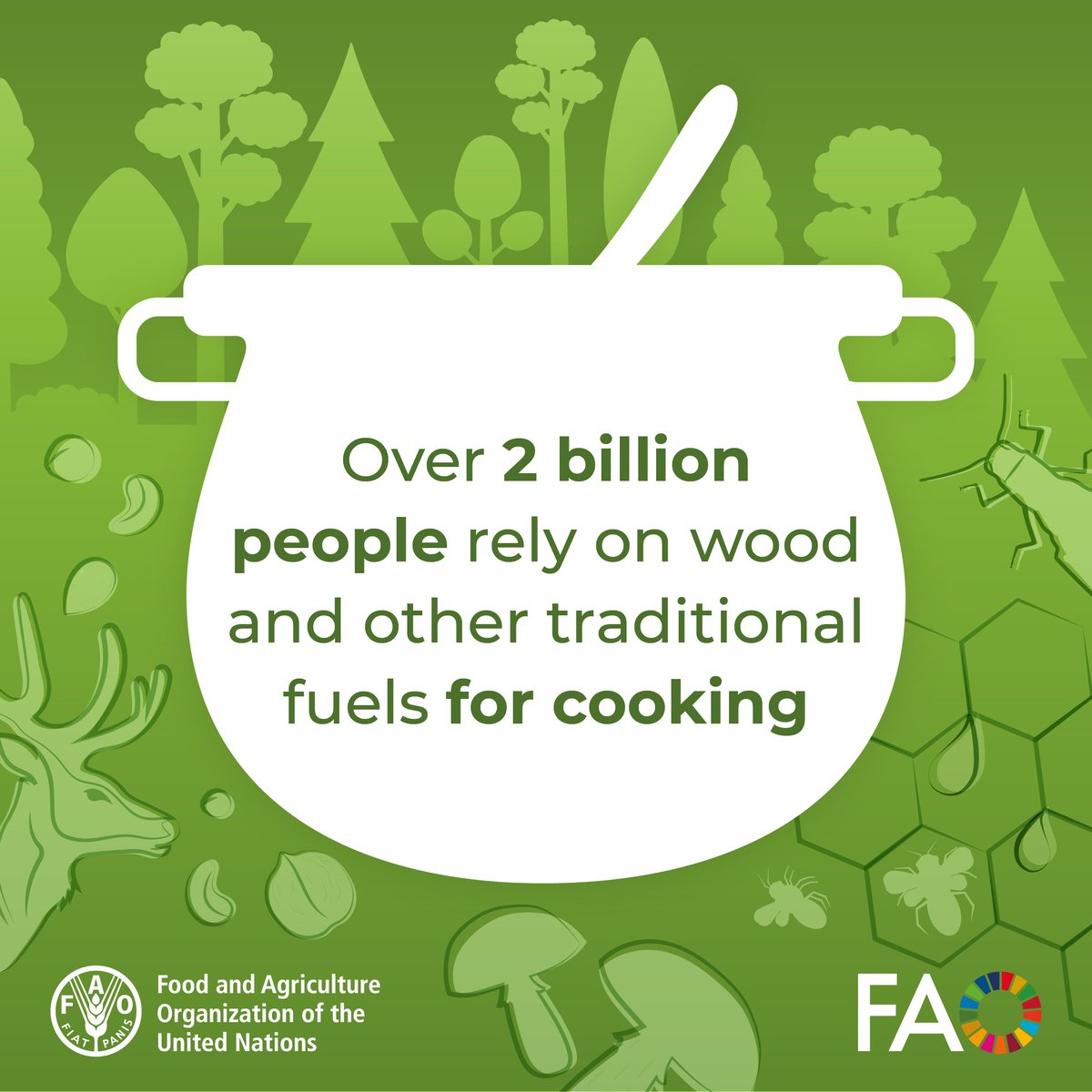 Over 2 billion people rely on wood and other traditional fuels for cooking. 🌲🪵🔥

#ForestDay