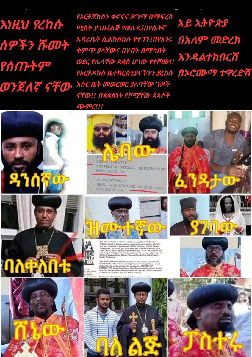 Anketse አንቀጸ-ፋኖ ነኝ (@anketseberhan) on Twitter photo 