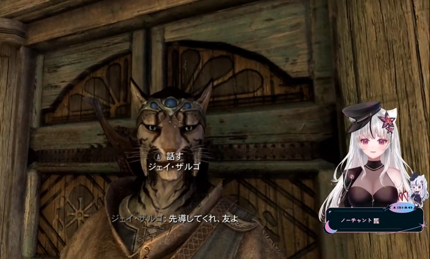 知的な猫がついてきてくれた🐈
#skyrim