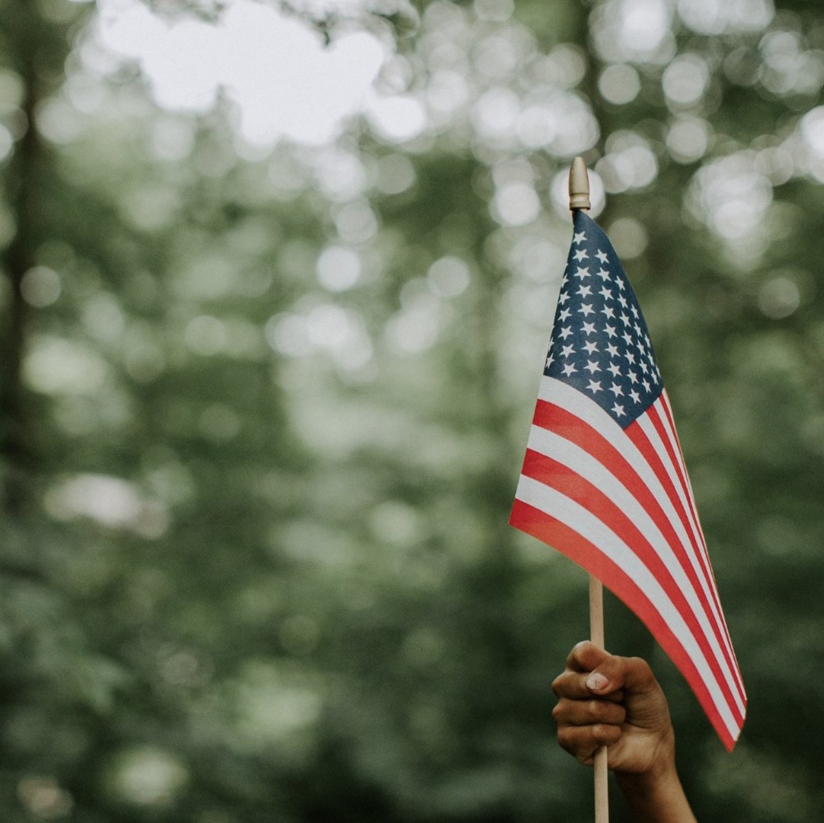 This #MemorialDay, we honor those who gave their lives in service to our country. 🌲

Our forests stand as living memorials—places of peace, reflection, and renewal. 🇺🇸