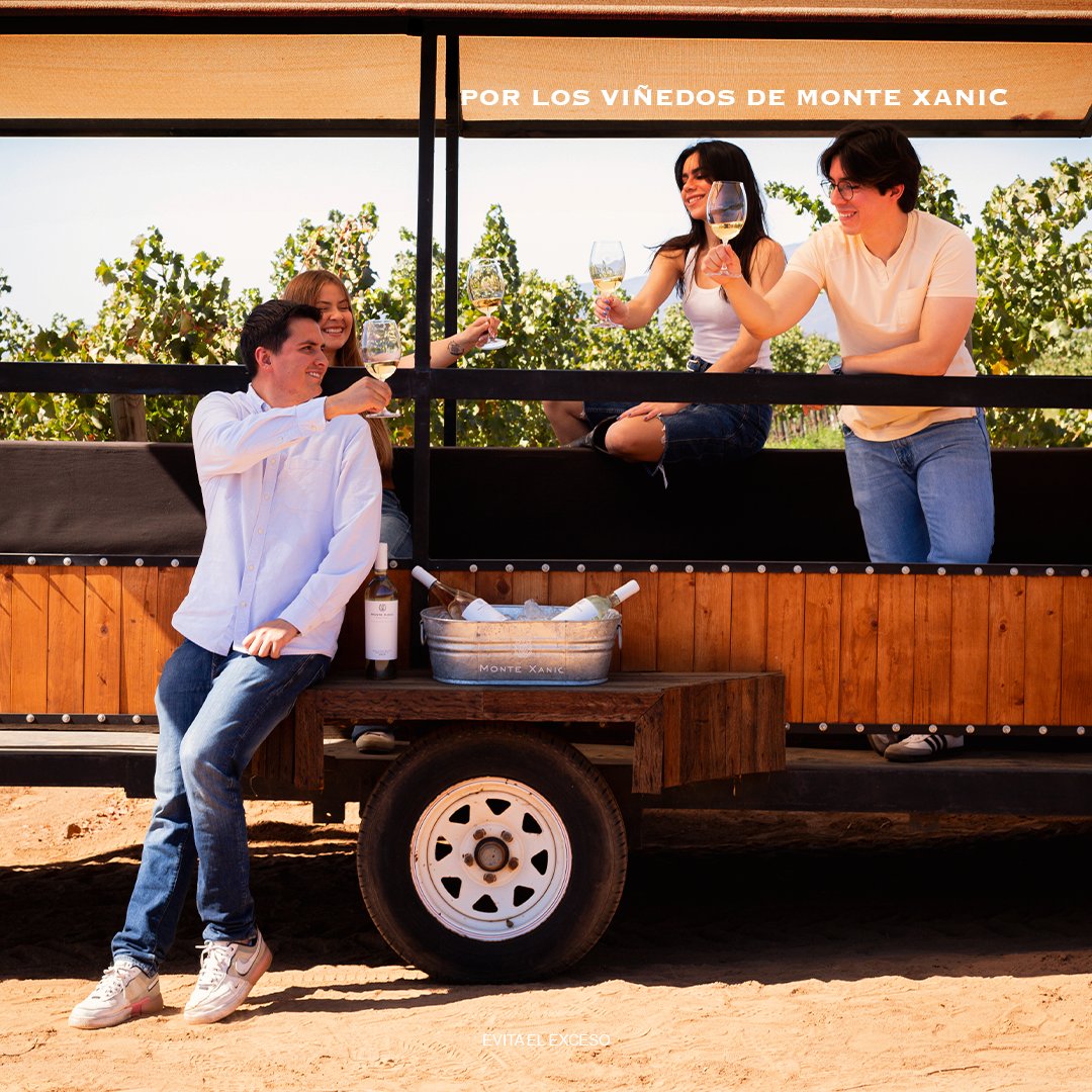 Monte Xanic tweet media