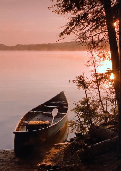🛶 Happy #NationalCanoeDay!

From serene lakes to winding rivers, Kawartha Highlands offer the perfect backdrop to paddle, explore, and connect with nature. 🌲💧

Grab your paddle and celebrate Canada’s iconic watercraft today!

#OntarioParks #CanoeDay #ExploreOntario