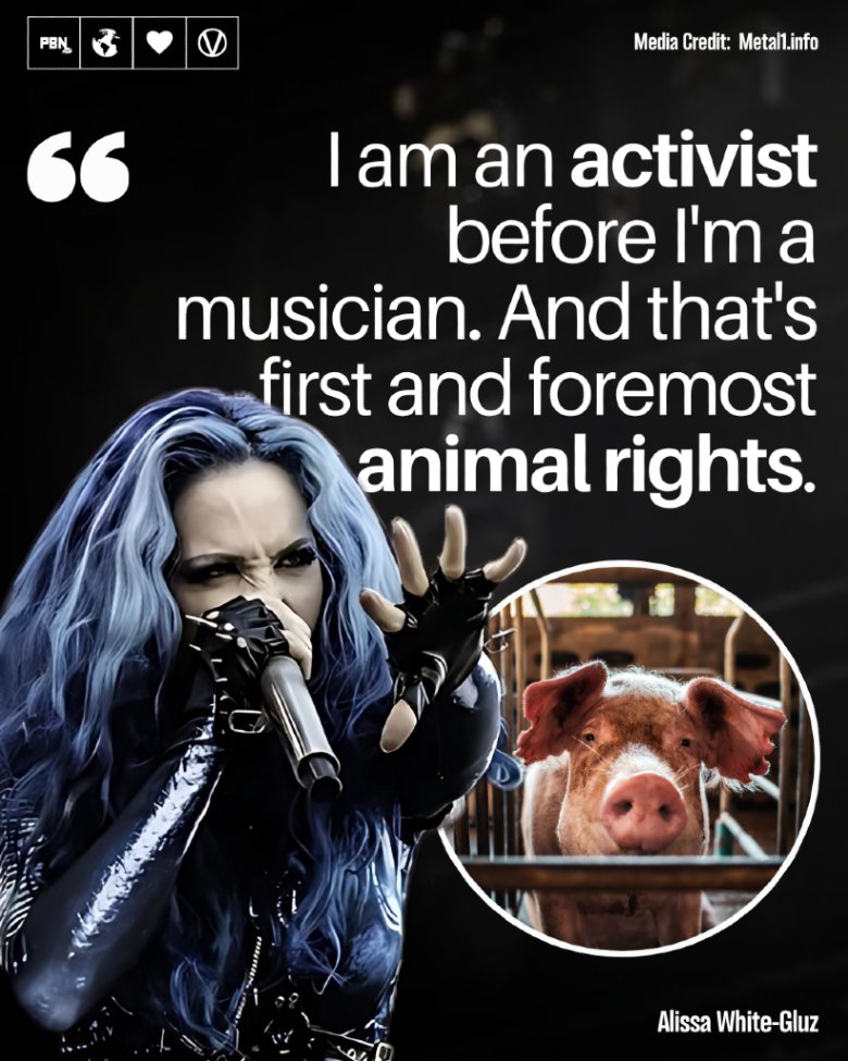 Plant Based News tweet media