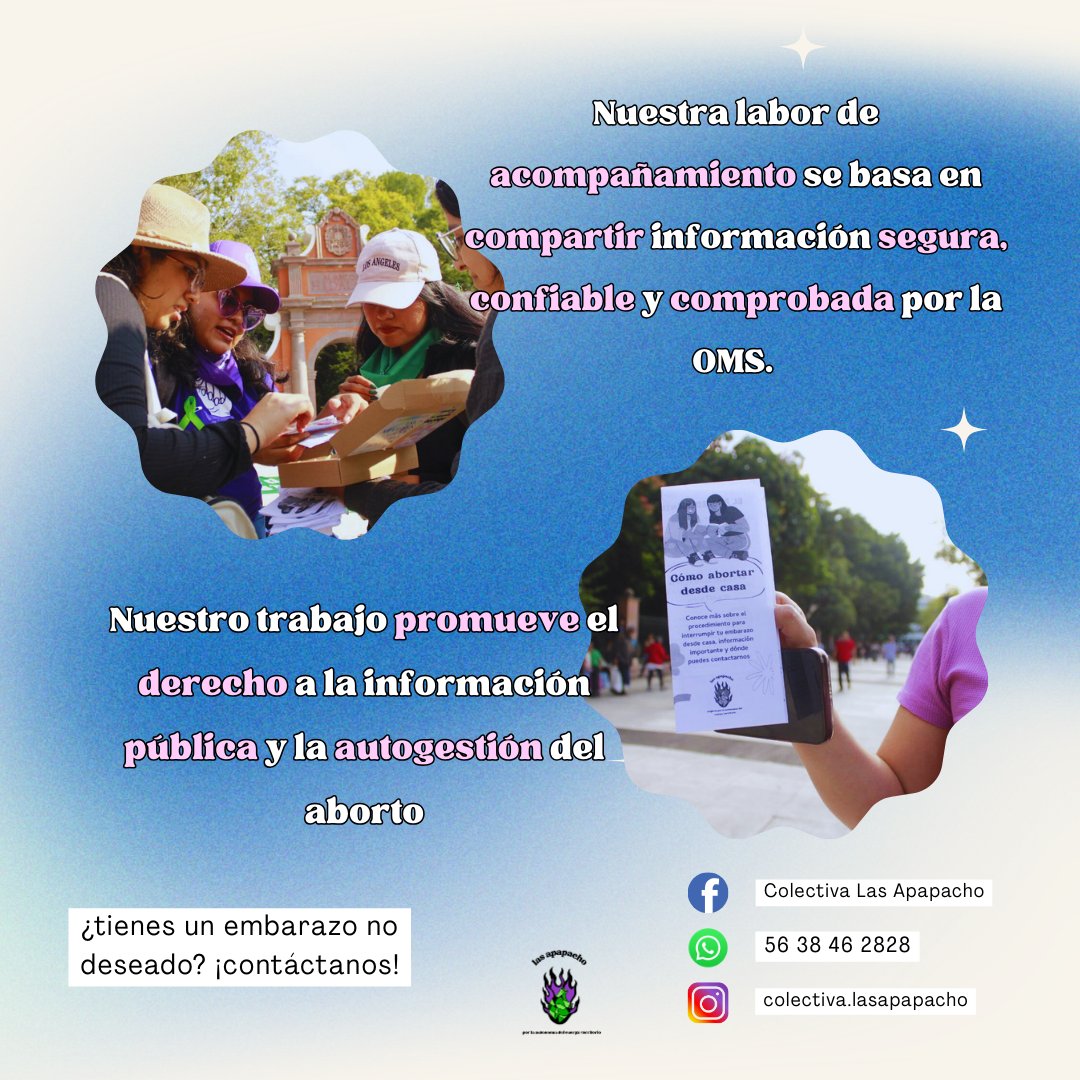 Colectiva Las Apapacho tweet media