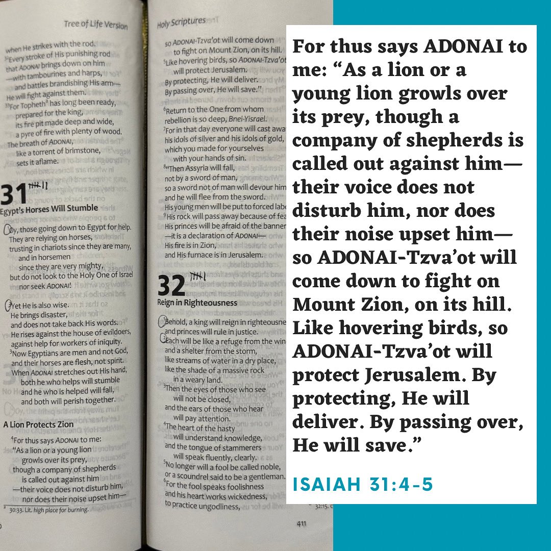 ravdaveed's tweet image. #Isaiah31v4and5 #TLV #TLVBible
•
#WWL #WordAsAWayOfLife #CoffeeAndTheBible #Discipleship #CamperLife#CamperLife