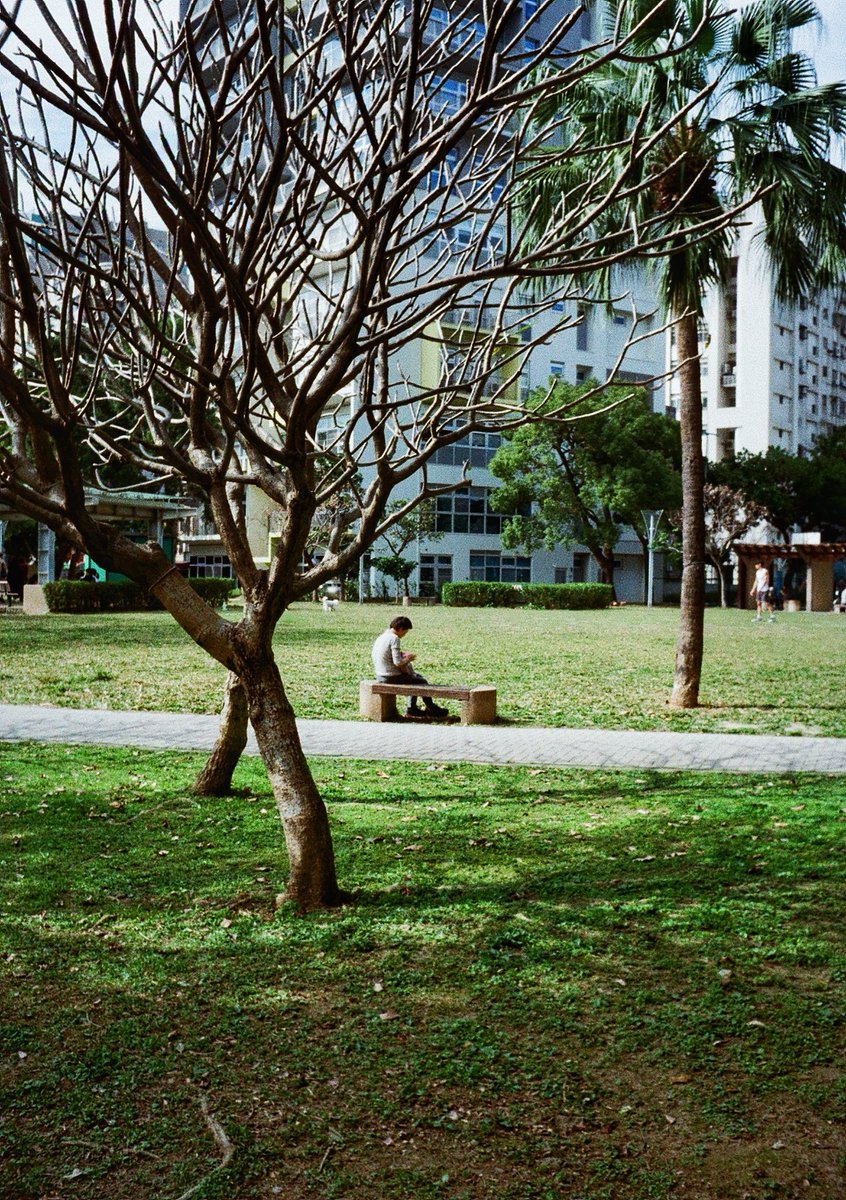 vyvpoon's tweet photo. Taipei
Gold200 / Ricoh Autohalf SE2

#写真
#filmphotograghy 
#autohalf
#photograghy 
#streetphotography https://t.co/cuB6jnCxq8