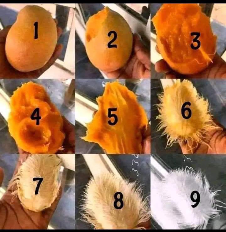 Ugarukirizaga kuwuhe mubare se? 😂
Me:5