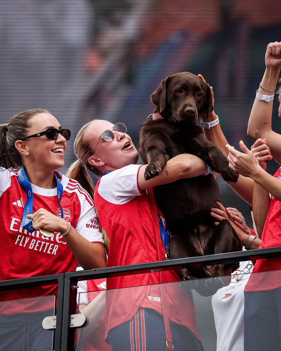 O Won, o cão adotado pelo Arsenal e que vive no Centro de Treinos do clube, também fez parte da festa do título da Champions Feminina conquistada pelos Gunners. 🥹